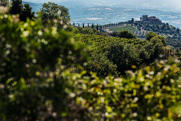 Destination Wedding Photographers Tuscany