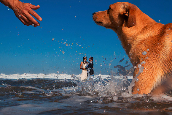 Wedding Photos