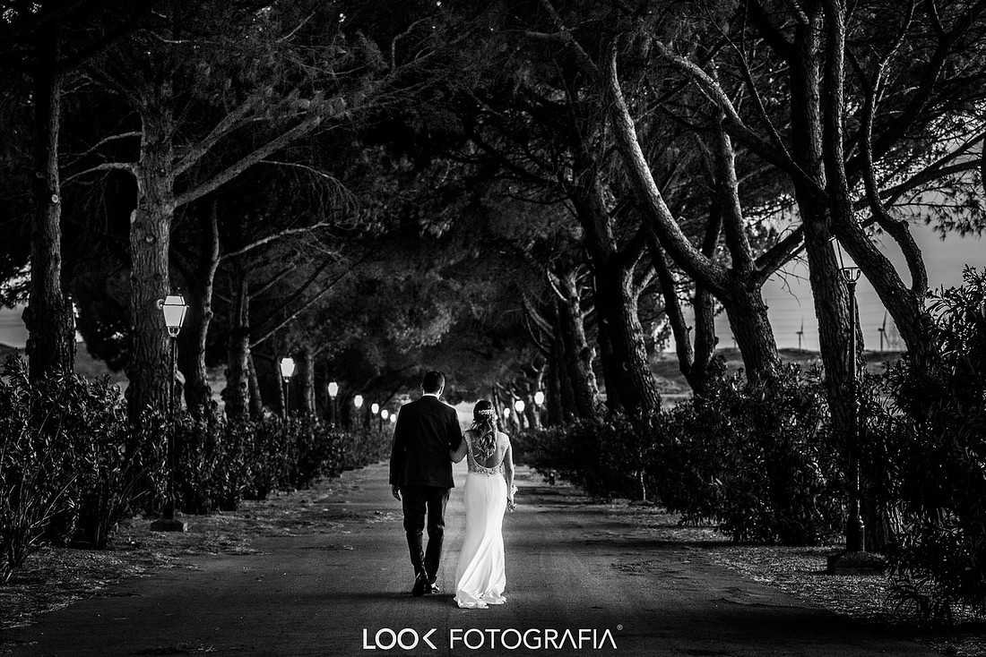 Look Fotografia