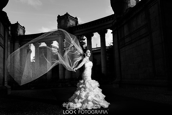 Look Fotografia