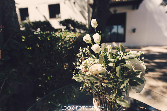Look Fotografia