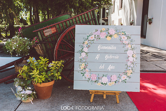 Look Fotografia