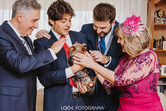 Look Fotografia