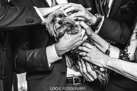 Look Fotografia