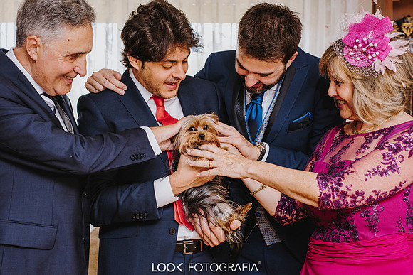 Look Fotografia